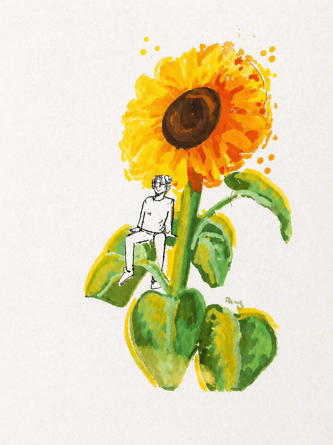 sunflower illustration